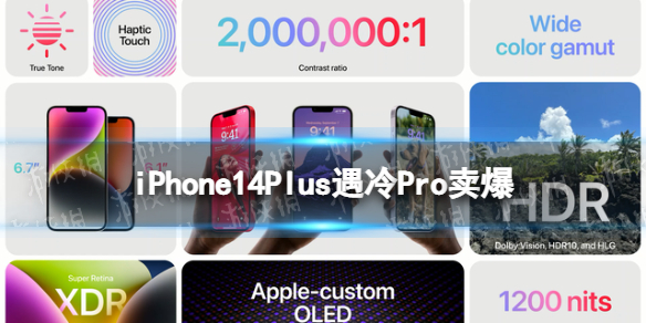 iPhone14Plus遇冷Pro卖爆 iphone14plus被指年度最不保值手机