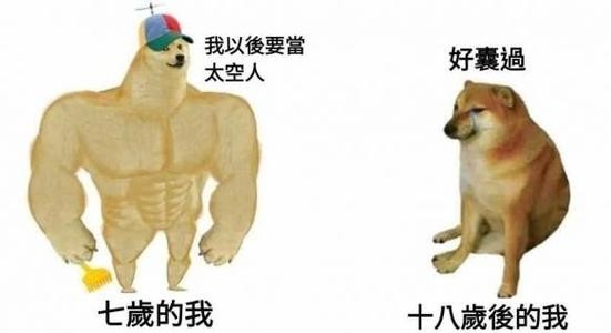 cheems表情包大全 cheems狗表情包