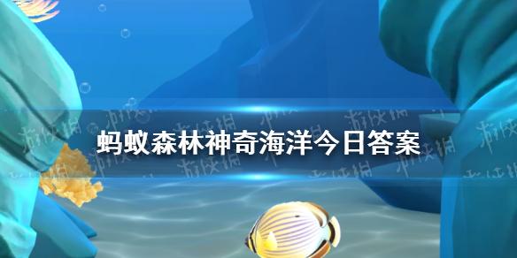 位居我国海洋灾害之首的是什么 支付宝神奇海洋今日最新答案灾害10.26