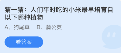 蚂蚁庄园11月16日：人们平时吃的小米最早培育自以下哪种植物