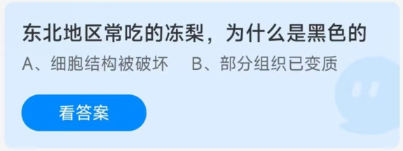 蚂蚁庄园12月8日：冬北地区常吃的冻梨为什么是黑色的