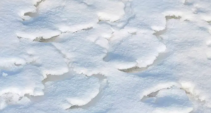 蚂蚁庄园12月6日：以下哪种雪会融化得更快