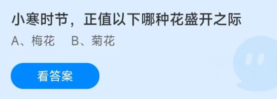 蚂蚁庄园1月5日：小寒开什么花