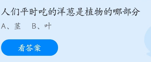 蚂蚁庄园2月11日：人们平时吃的洋葱是植物的哪部分