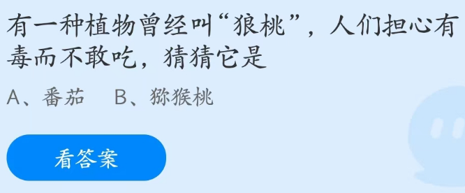 蚂蚁庄园2月16日：有种植物叫狼桃人们担心有毒不敢吃它是