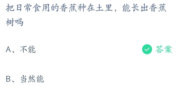 蚂蚁庄园3月2日：把香蕉种在土里能长出香蕉树吗