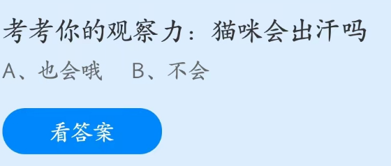 蚂蚁庄园3月3日：猫咪会出汗吗