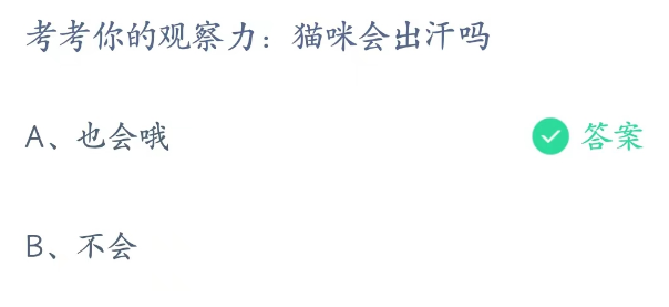 蚂蚁庄园3月3日：猫咪会出汗吗