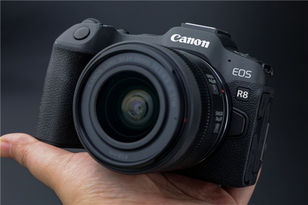 EOS R8、R50新品上市热卖,为中国市场及用户带来诚意——专访佳能中国石井俊幸