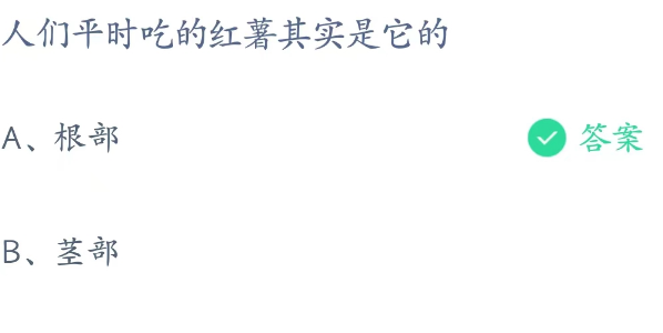 蚂蚁庄园4月8日：人们平时吃的红薯其实是它的