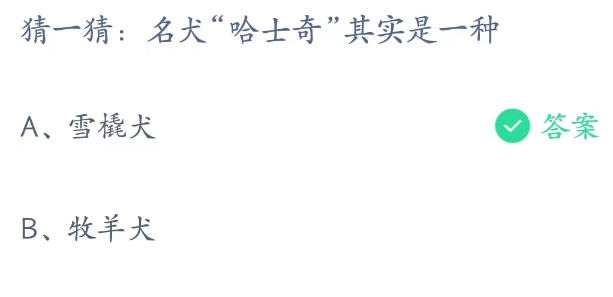 蚂蚁庄园4月14日：名犬哈士奇其实是一种