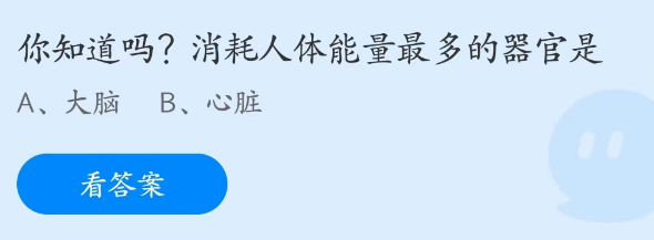 蚂蚁庄园4月19日：消耗人体能量最多的器官是