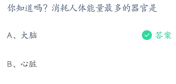 蚂蚁庄园4月19日：消耗人体能量最多的器官是