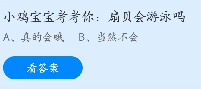 蚂蚁庄园4月22日：扇贝会游泳吗