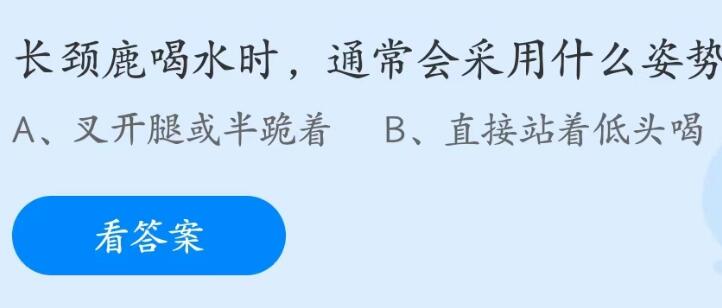 蚂蚁庄园5月17日：长颈鹿喝水时通常会采用什么姿势