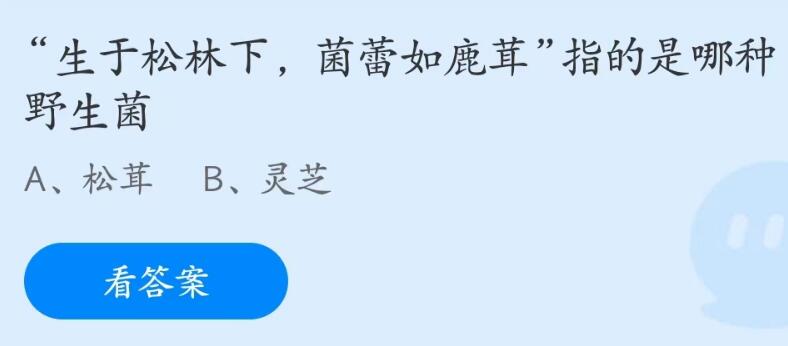 蚂蚁庄园5月18日：生于松林下菌蕾如鹿茸指的是哪种野生菌