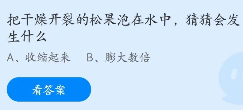 蚂蚁庄园6月3日：把干燥开裂的松果泡在水中会发生什么