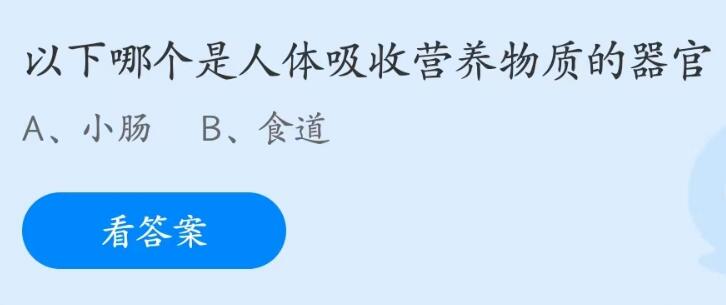 蚂蚁庄园5月31日：以下哪个是人体吸收营养物质的器官