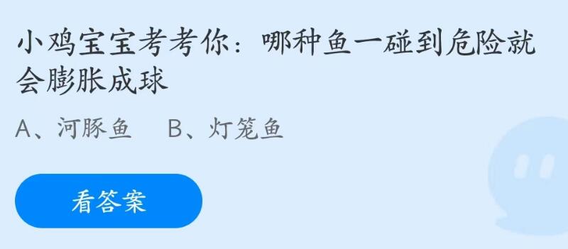 蚂蚁庄园5月25日：哪种鱼一碰到危险就会膨胀成球