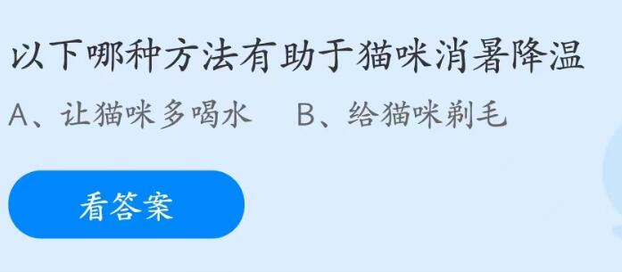 蚂蚁庄园6月17日：以下哪种方法有助于猫咪消暑降温