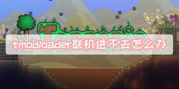 tmodloader联机进不去怎么办