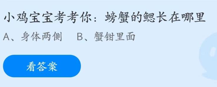 蚂蚁庄园6月20日：螃蟹的鳃长在哪里