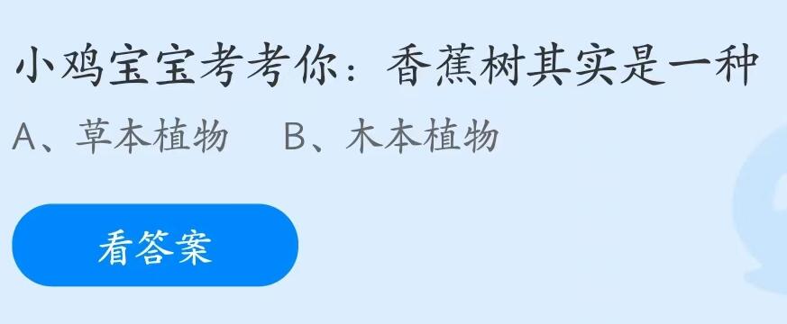 蚂蚁庄园6月30日：香蕉树其实是一种