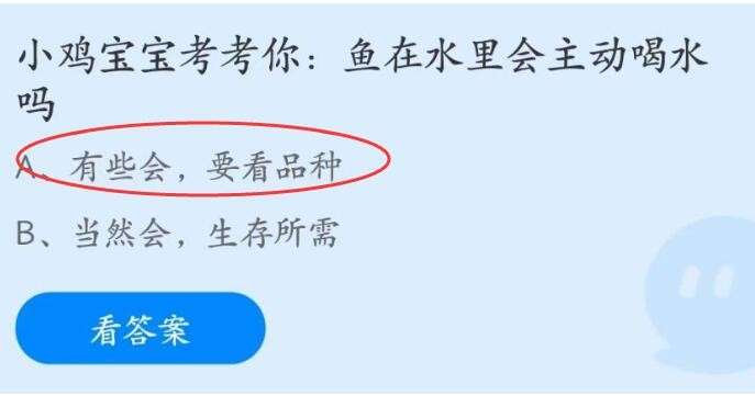 小鸡宝宝考考你：鱼在水里会主动喝水吗