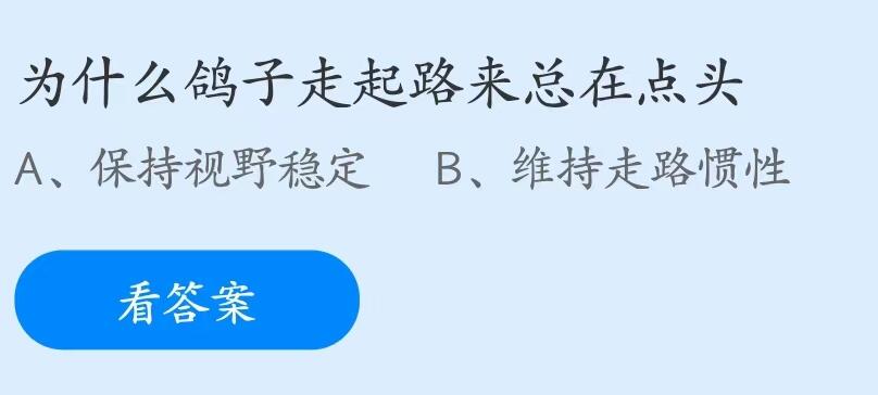 蚂蚁庄园7月20日：为什么鸽子走起路来总在点头