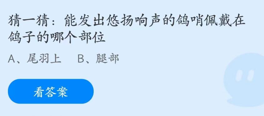 蚂蚁庄园7月26日：能发出悠扬响声的鸽哨佩戴在鸽子的哪个部位