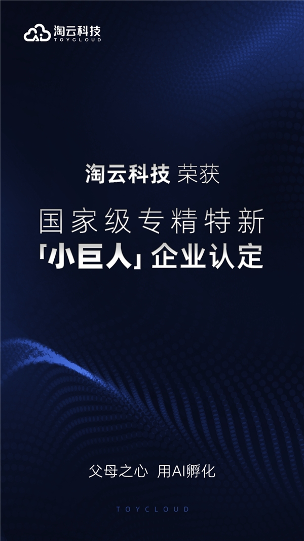 再添国家级荣誉！淘云科技获评国家级专精特新“小巨人”企业