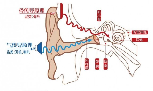 骨传导音质差，到底听力受影响吗？