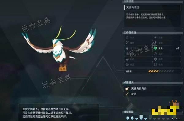 《幻兽帕鲁》天擒鸟怎么抓？天擒鸟捕捉攻略