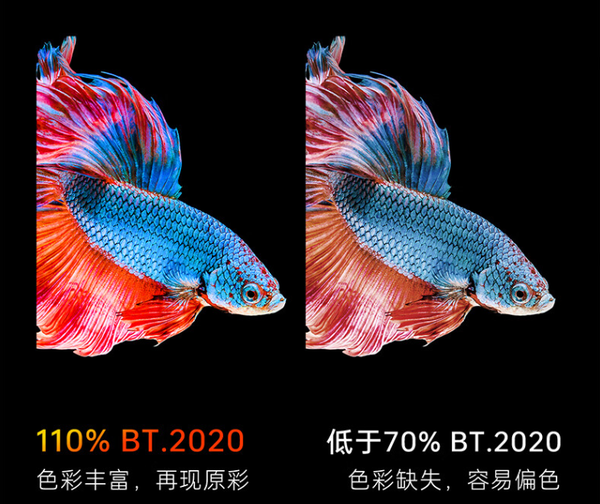 2024年性价比最高的4K投影仪有哪些？激光旗舰还是推荐当贝X5 Pro