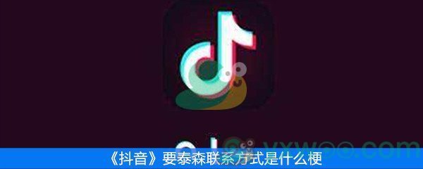 抖音要泰森联系方式是什么梗_谁有泰森的联系方式是什么意思